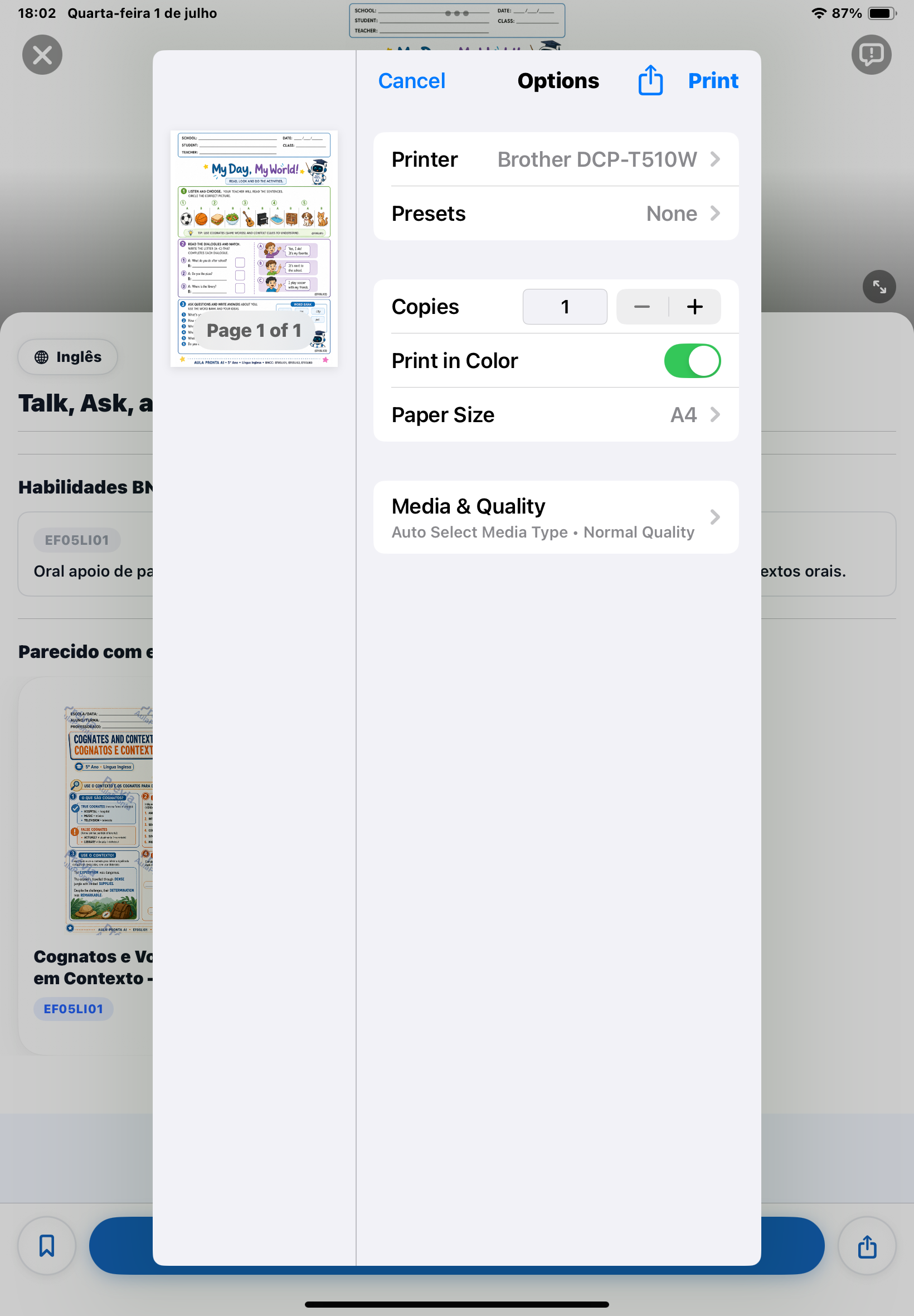 Tela de impressão do iOS mostrando prévia da atividade My Day, My World!, configurações com papel A4, impressão colorida e impressora selecionada